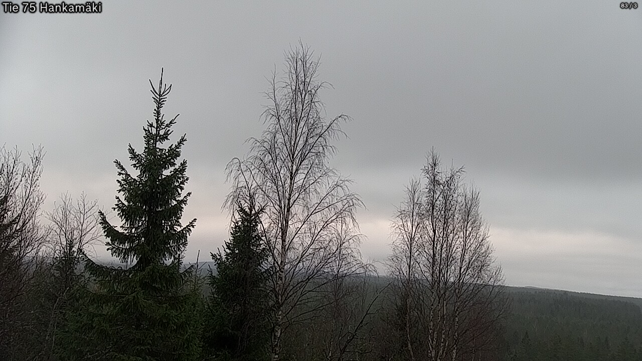 Kelikamerat Kuva Tie 75 Rautavaara, Hankamäki, Rautavaara, Pohjois-Savo