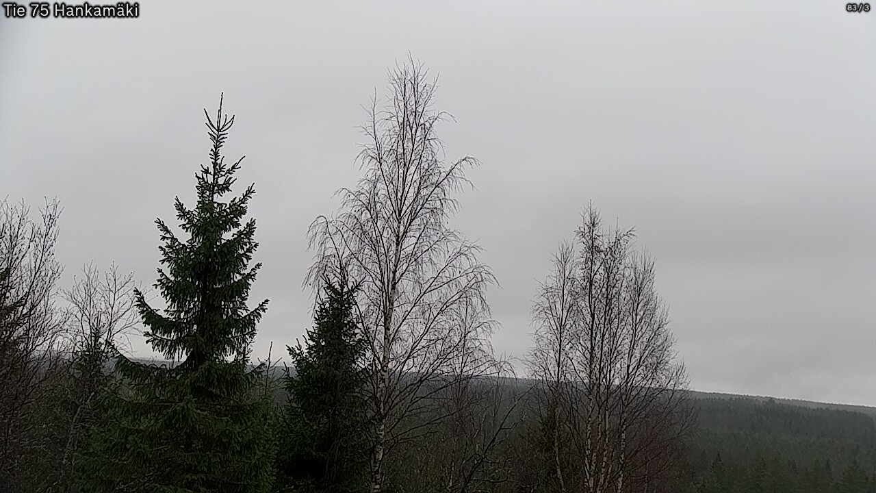 Kelikamerat Kuva Tie 75 Rautavaara, Hankamäki, Rautavaara, Pohjois-Savo