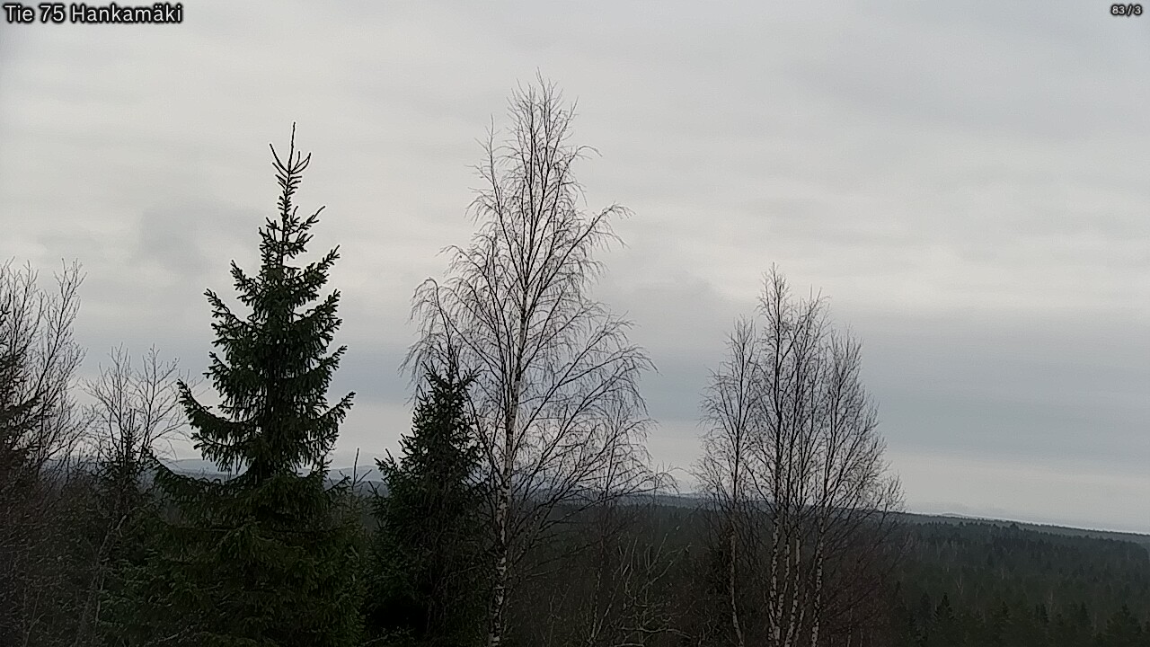 Kelikamerat Kuva Tie 75 Rautavaara, Hankamäki, Rautavaara, Pohjois-Savo