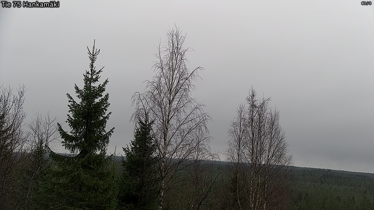 Kelikamerat Kuva Tie 75 Rautavaara, Hankamäki, Rautavaara, Pohjois-Savo