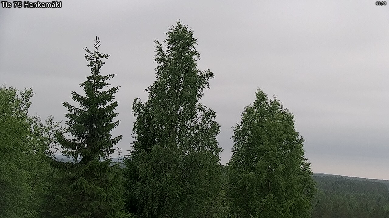 Kelikamerat Kuva Tie 75 Rautavaara, Hankamäki, Rautavaara, Pohjois-Savo