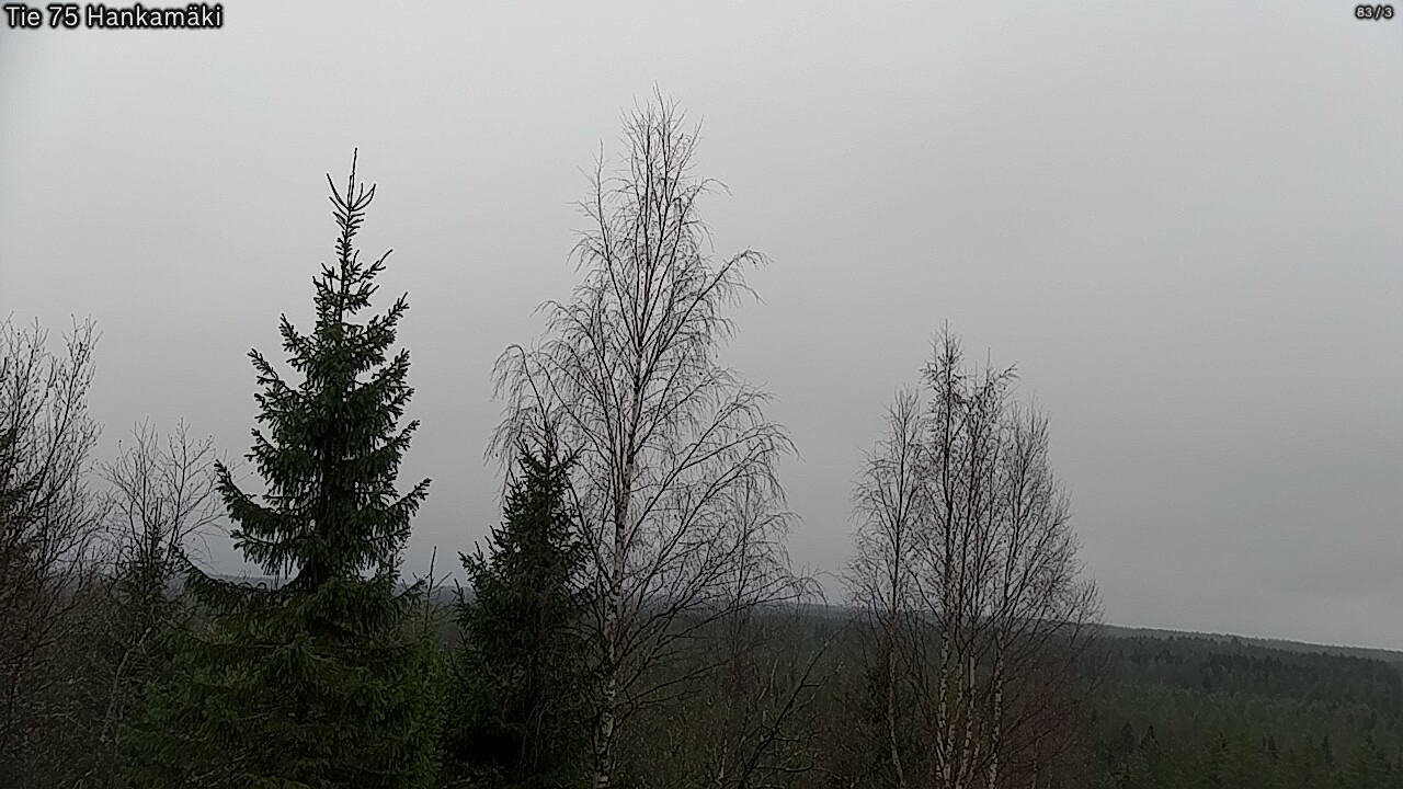 Kelikamerat Kuva Tie 75 Rautavaara, Hankamäki, Rautavaara, Pohjois-Savo