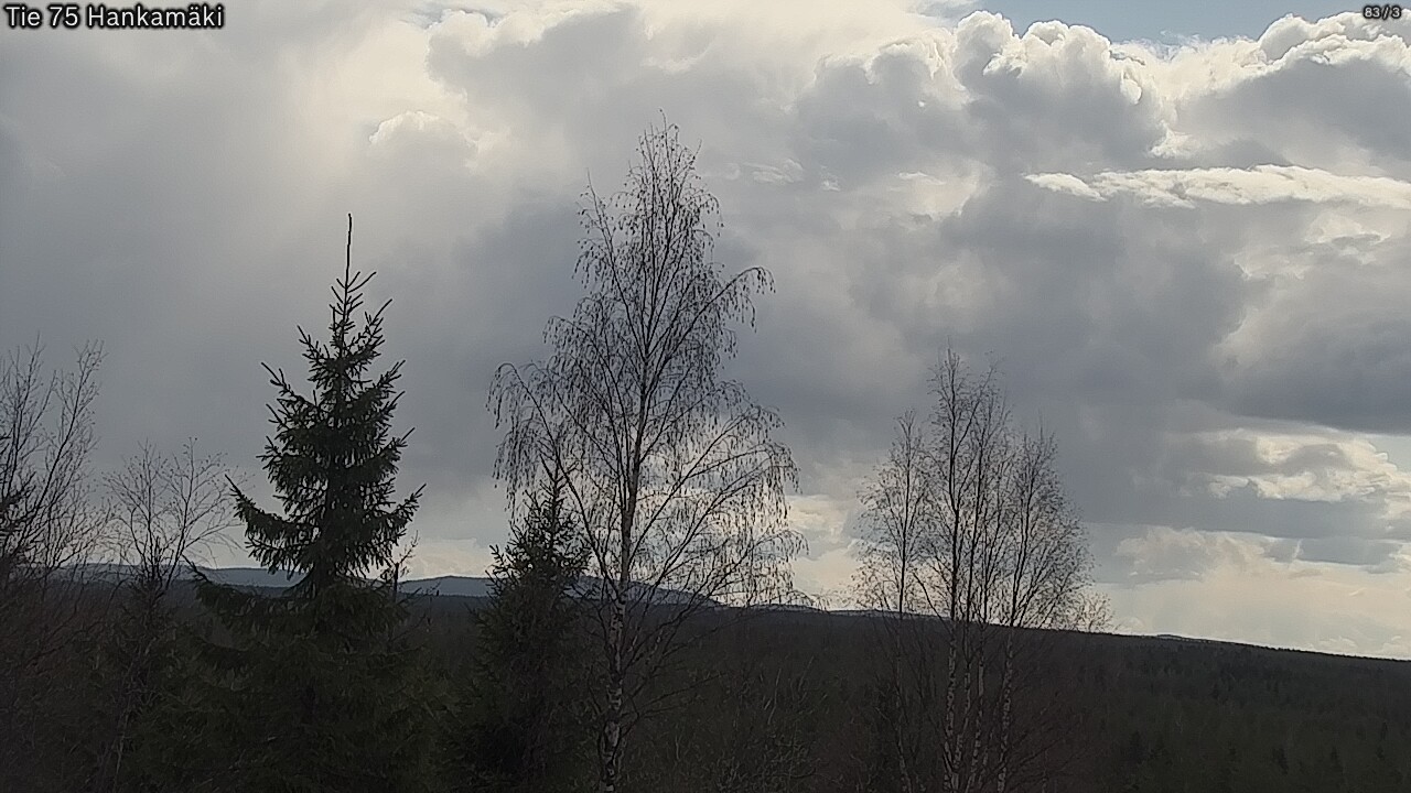 Weather Camera Image Road 75 Rautavaara, Hankamäki, Rautavaara, Pohjois-Savo