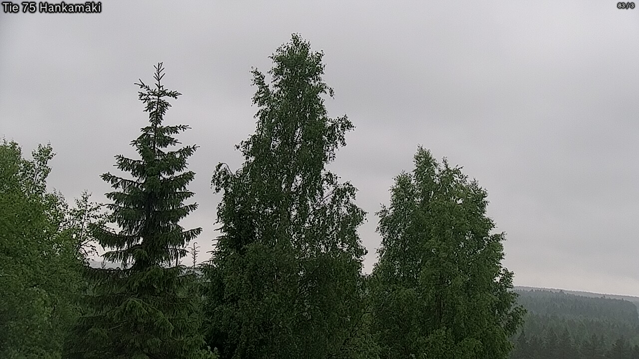 Kelikamerat Kuva Tie 75 Rautavaara, Hankamäki, Rautavaara, Pohjois-Savo