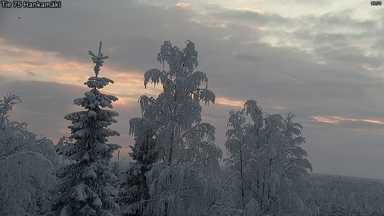 Kelikamerat Kuva Tie 75 Rautavaara, Hankamäki, Rautavaara, Pohjois-Savo