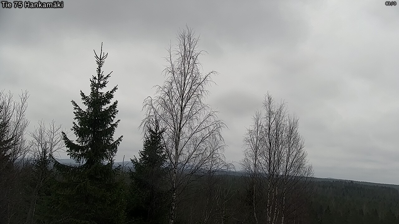 Weather Camera Image Road 75 Rautavaara, Hankamäki, Rautavaara, Pohjois-Savo