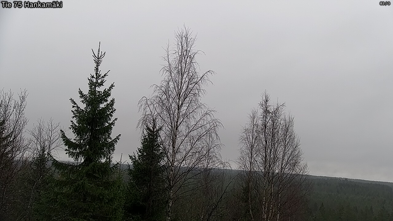 Kelikamerat Kuva Tie 75 Rautavaara, Hankamäki, Rautavaara, Pohjois-Savo