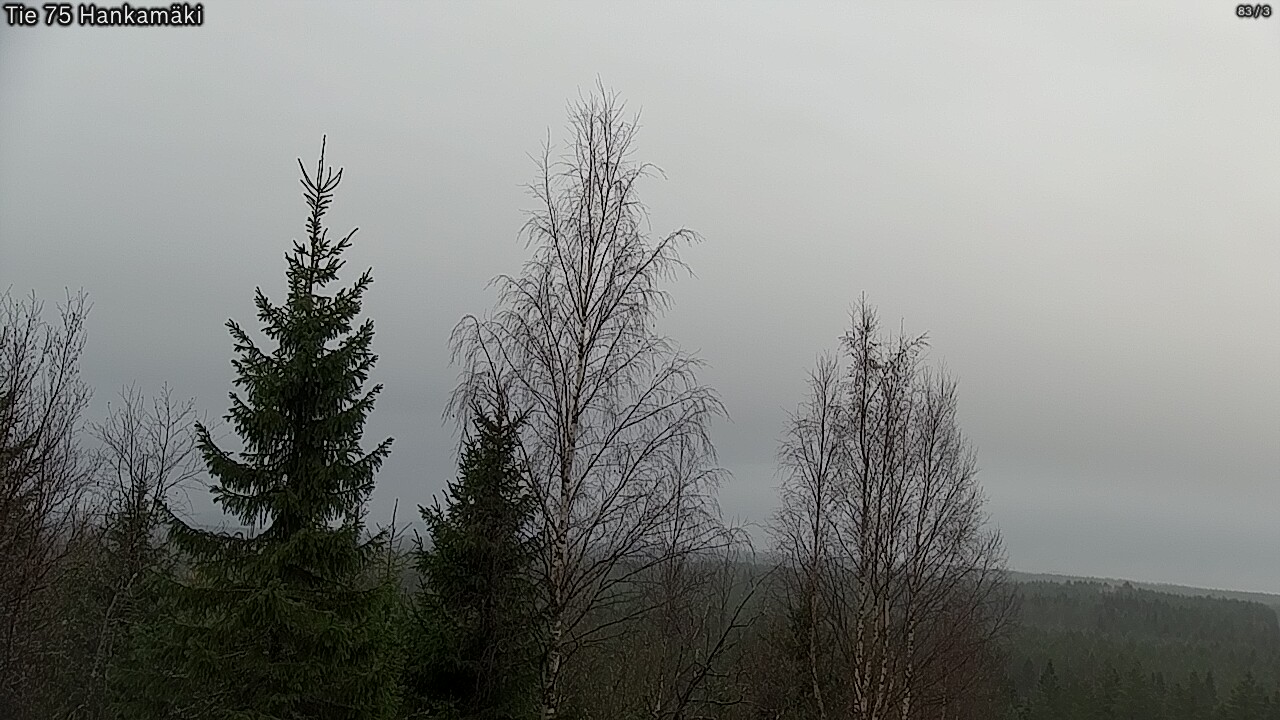 Kelikamerat Kuva Tie 75 Rautavaara, Hankamäki, Rautavaara, Pohjois-Savo