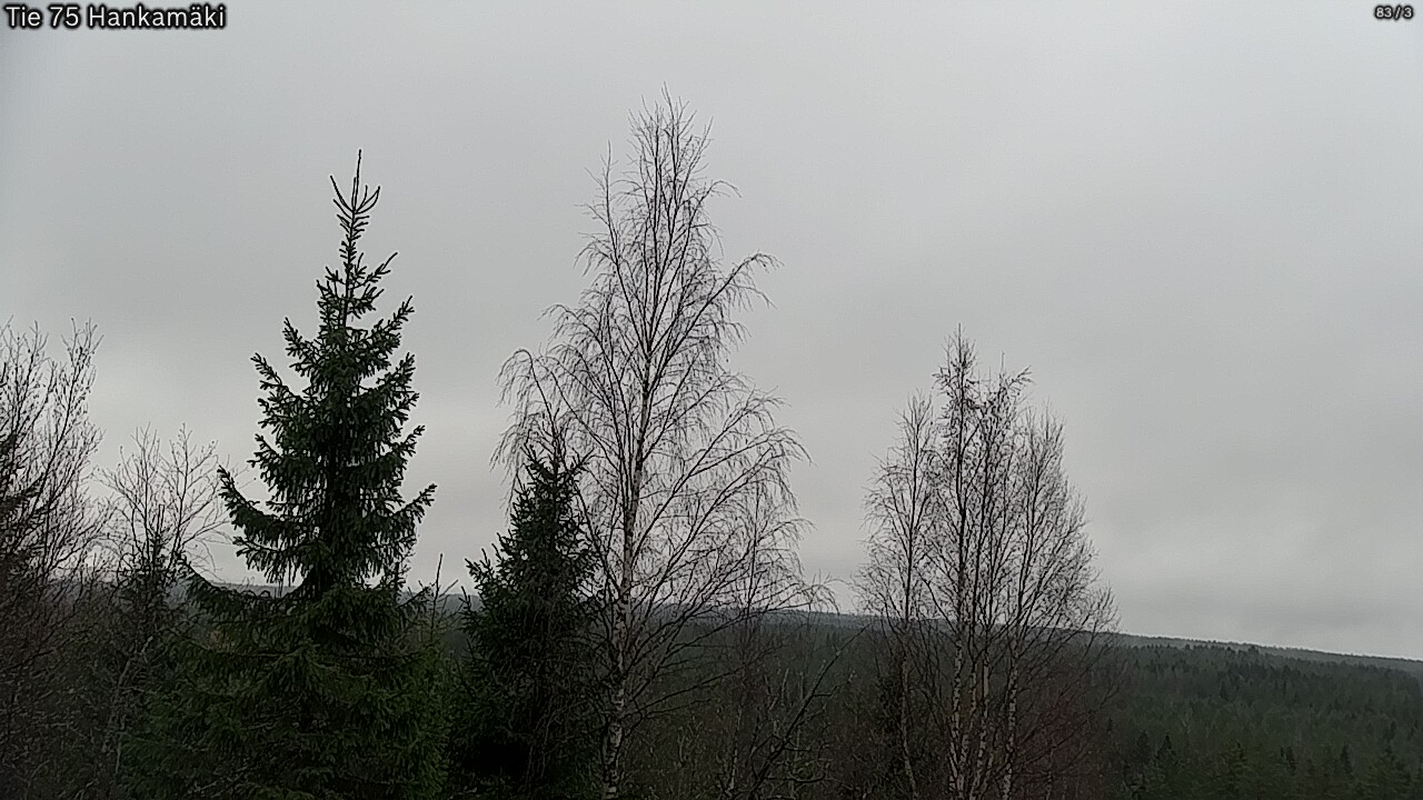 Kelikamerat Kuva Tie 75 Rautavaara, Hankamäki, Rautavaara, Pohjois-Savo