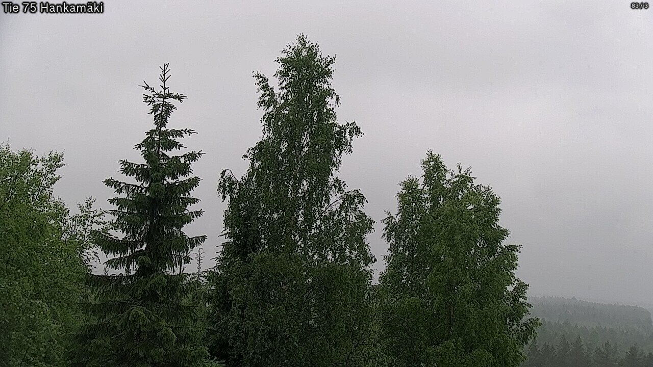 Weather Camera Image Road 75 Rautavaara, Hankamäki, Rautavaara, Pohjois-Savo