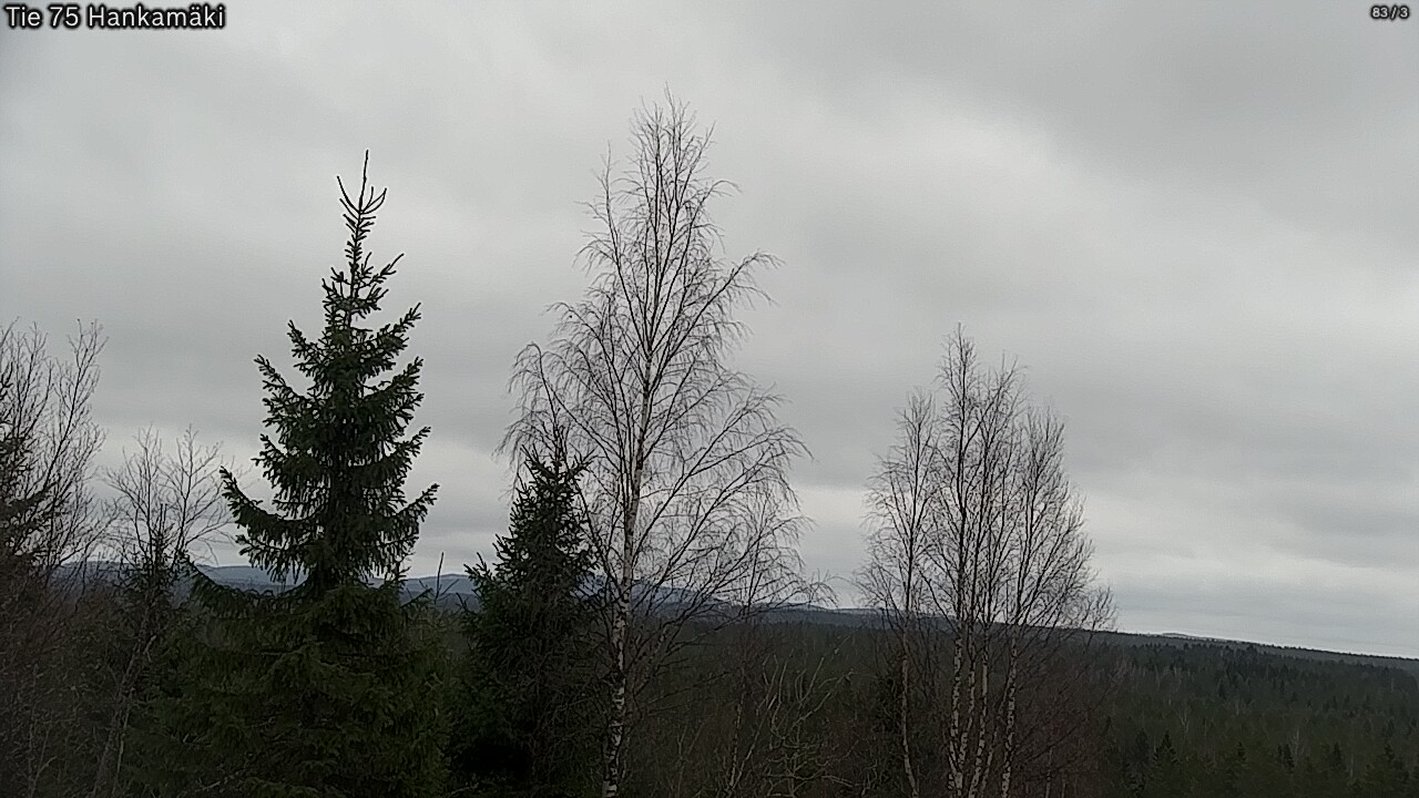 Weather Camera Image Road 75 Rautavaara, Hankamäki, Rautavaara, Pohjois-Savo