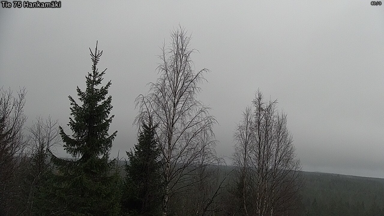 Kelikamerat Kuva Tie 75 Rautavaara, Hankamäki, Rautavaara, Pohjois-Savo