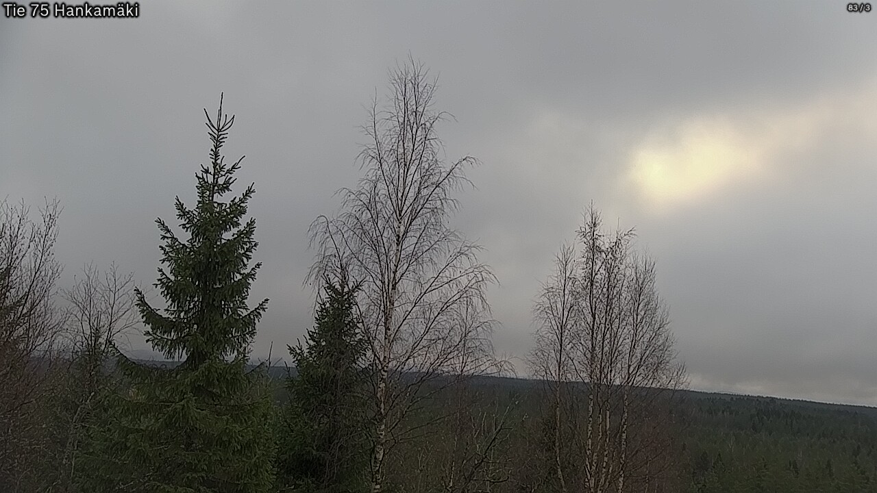 Kelikamerat Kuva Tie 75 Rautavaara, Hankamäki, Rautavaara, Pohjois-Savo