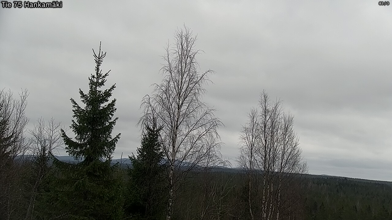 Weather Camera Image Road 75 Rautavaara, Hankamäki, Rautavaara, Pohjois-Savo
