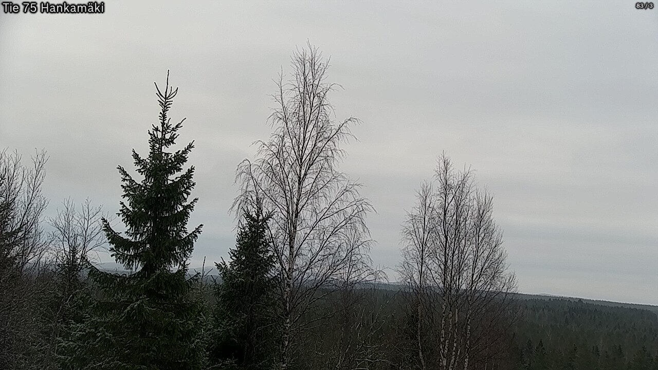 Kelikamerat Kuva Tie 75 Rautavaara, Hankamäki, Rautavaara, Pohjois-Savo