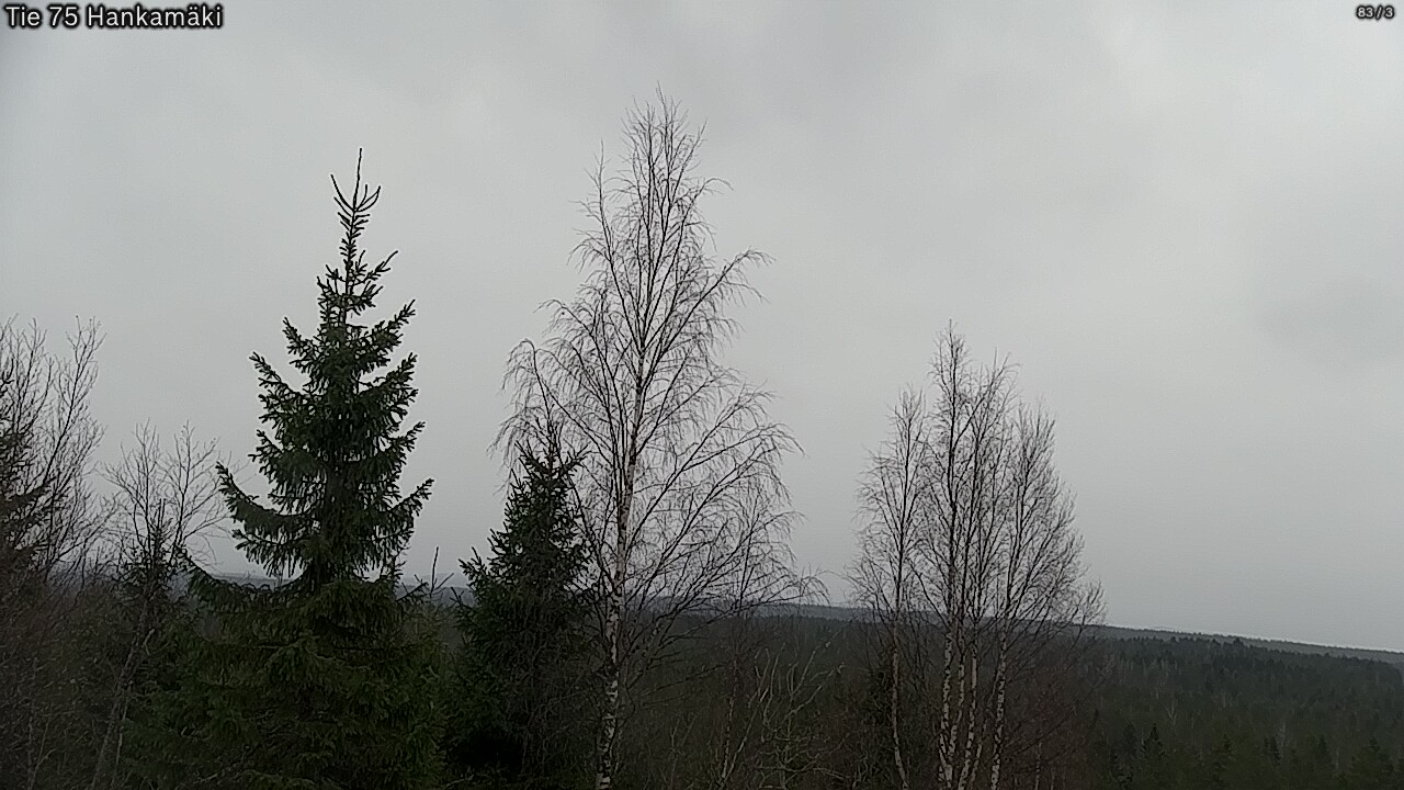 Weather Camera Image Väg 75 Rautavaara, Hankamäki, Rautavaara, Pohjois-Savo