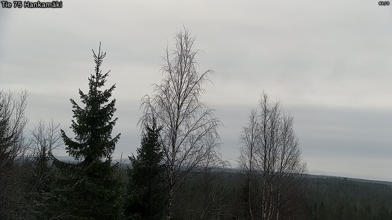 Kelikamerat Kuva Tie 75 Rautavaara, Hankamäki, Rautavaara, Pohjois-Savo