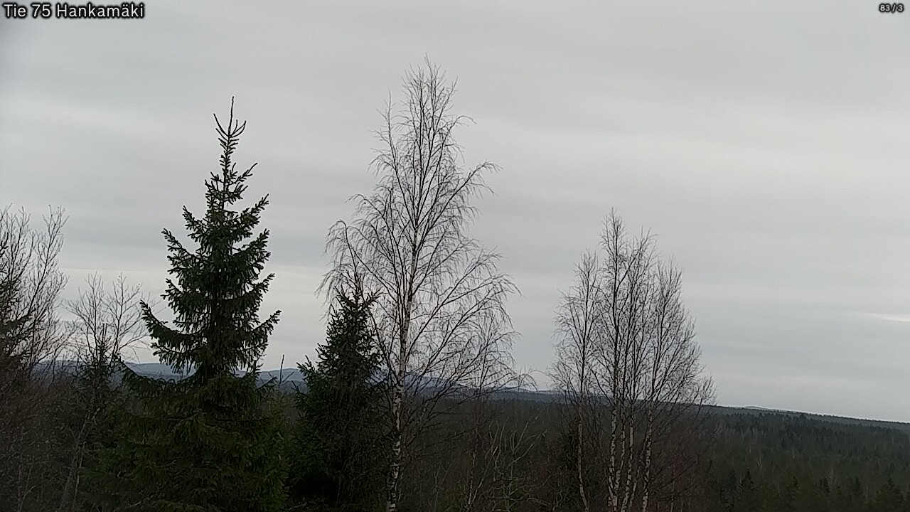 Kelikamerat Kuva Tie 75 Rautavaara, Hankamäki, Rautavaara, Pohjois-Savo