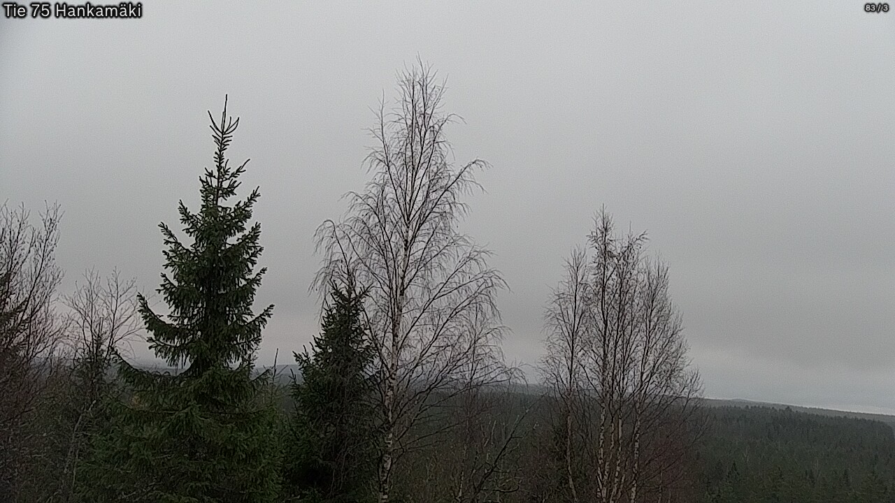 Kelikamerat Kuva Tie 75 Rautavaara, Hankamäki, Rautavaara, Pohjois-Savo