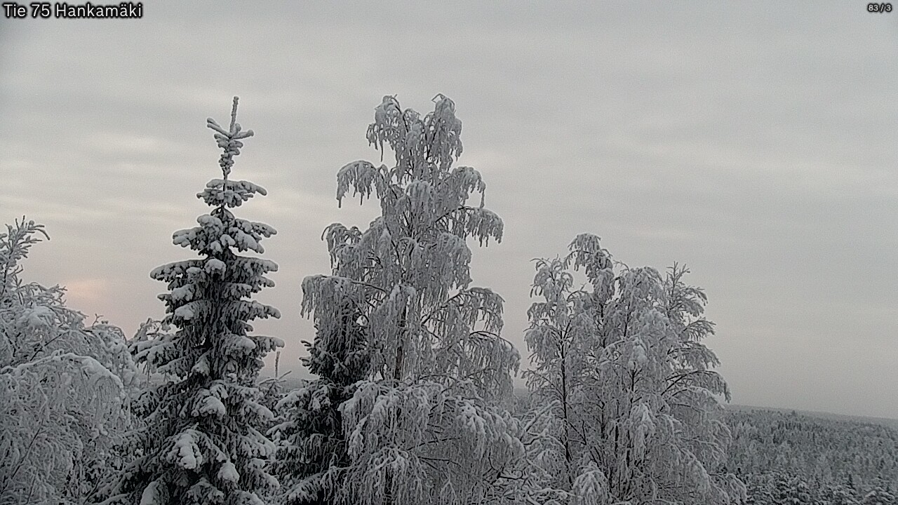 Kelikamerat Kuva Tie 75 Rautavaara, Hankamäki, Rautavaara, Pohjois-Savo