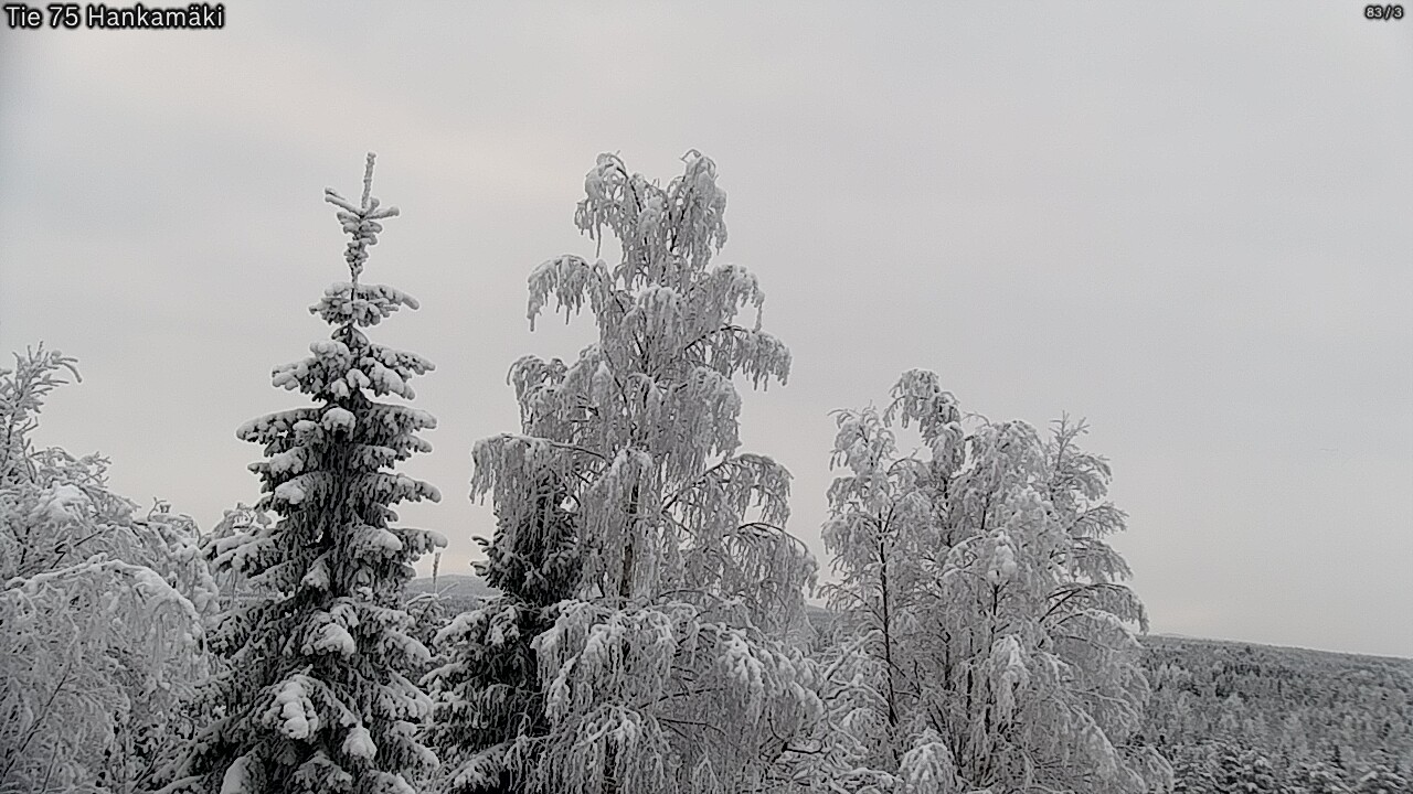 Kelikamerat Kuva Tie 75 Rautavaara, Hankamäki, Rautavaara, Pohjois-Savo