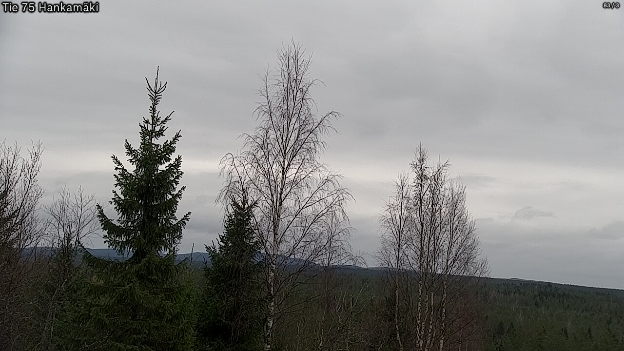 Weather Camera Image Väg 75 Rautavaara, Hankamäki, Rautavaara, Pohjois-Savo