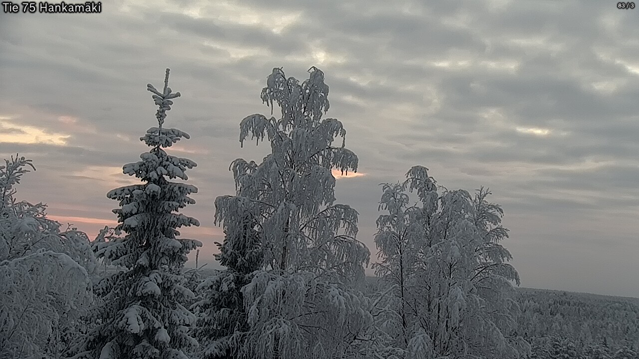 Kelikamerat Kuva Tie 75 Rautavaara, Hankamäki, Rautavaara, Pohjois-Savo