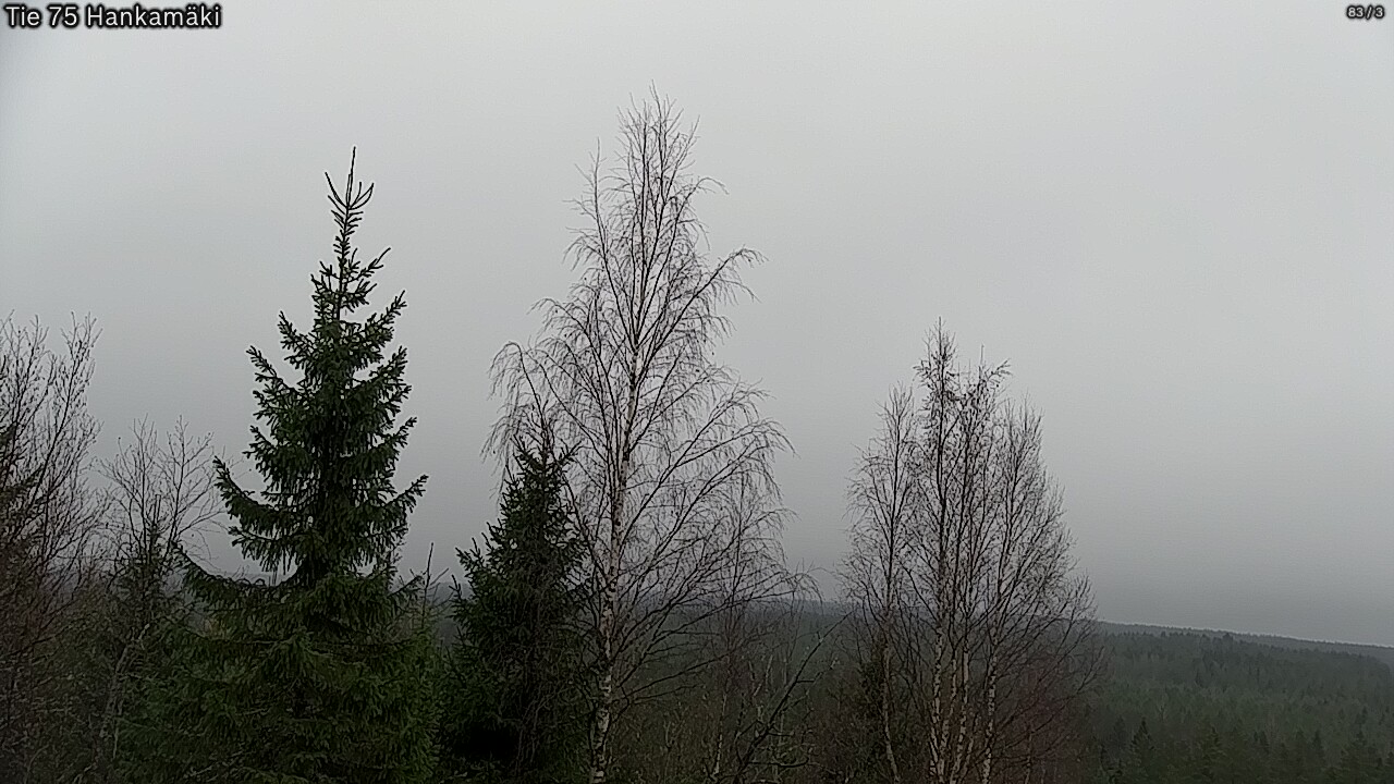 Kelikamerat Kuva Tie 75 Rautavaara, Hankamäki, Rautavaara, Pohjois-Savo