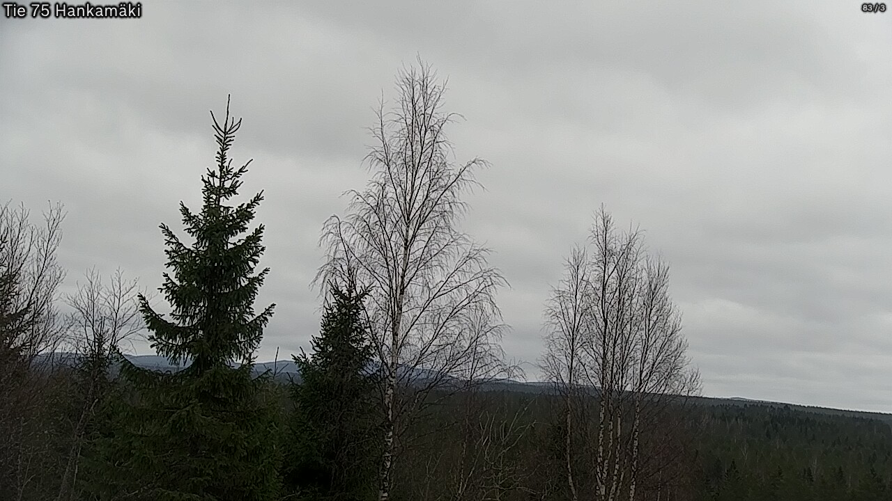 Weather Camera Image Road 75 Rautavaara, Hankamäki, Rautavaara, Pohjois-Savo