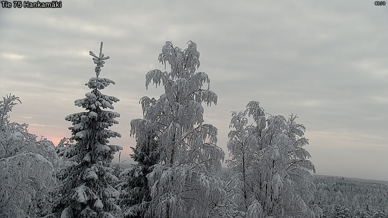 Kelikamerat Kuva Tie 75 Rautavaara, Hankamäki, Rautavaara, Pohjois-Savo