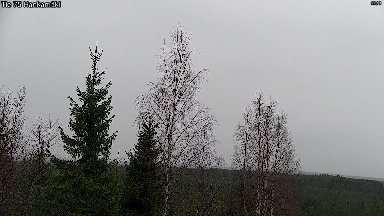 Kelikamerat Kuva Tie 75 Rautavaara, Hankamäki, Rautavaara, Pohjois-Savo