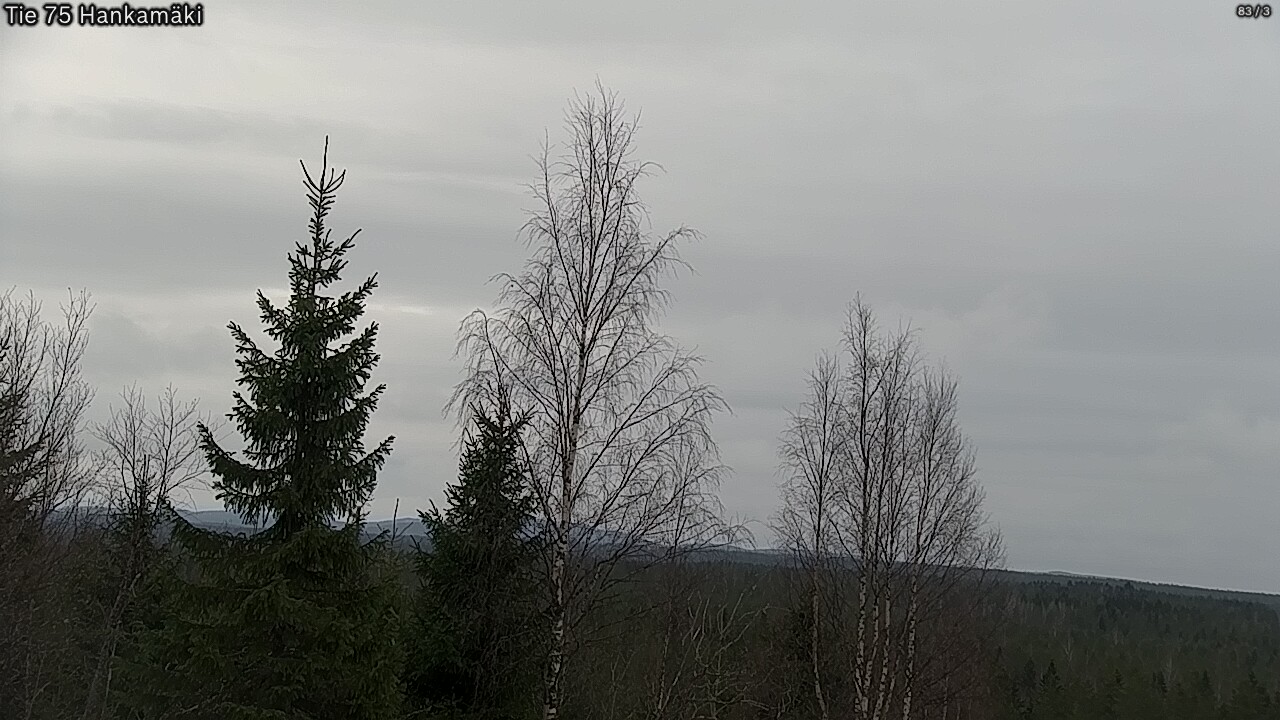 Weather Camera Image Väg 75 Rautavaara, Hankamäki, Rautavaara, Pohjois-Savo