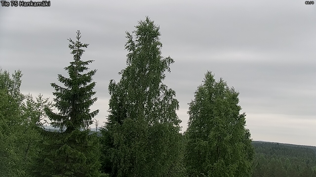 Kelikamerat Kuva Tie 75 Rautavaara, Hankamäki, Rautavaara, Pohjois-Savo