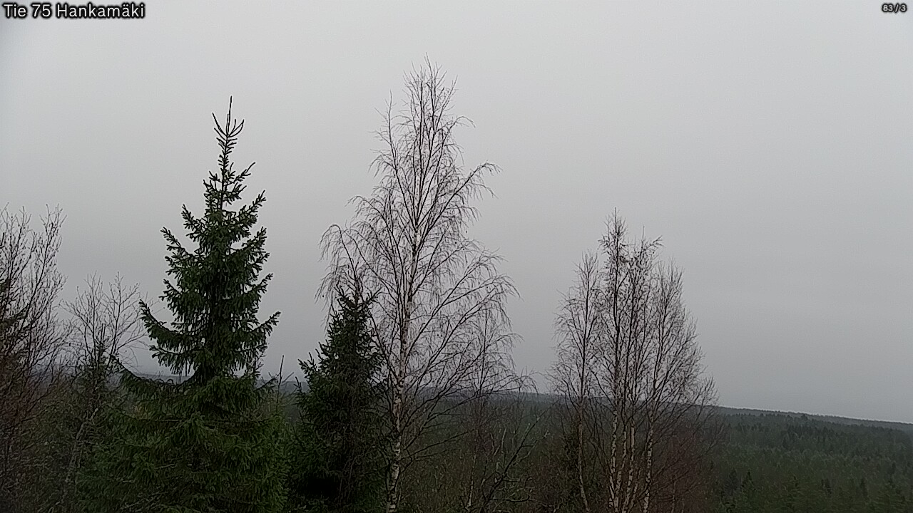 Kelikamerat Kuva Tie 75 Rautavaara, Hankamäki, Rautavaara, Pohjois-Savo