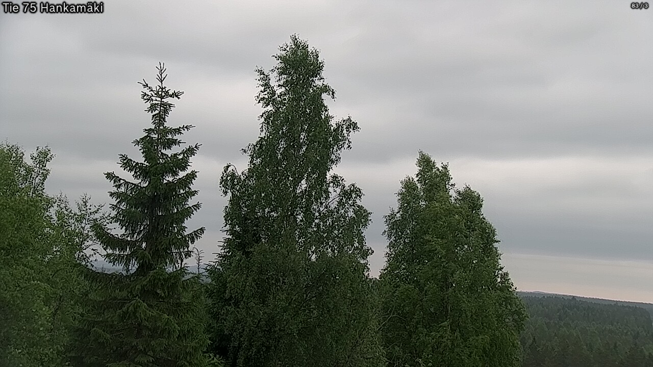 Kelikamerat Kuva Tie 75 Rautavaara, Hankamäki, Rautavaara, Pohjois-Savo