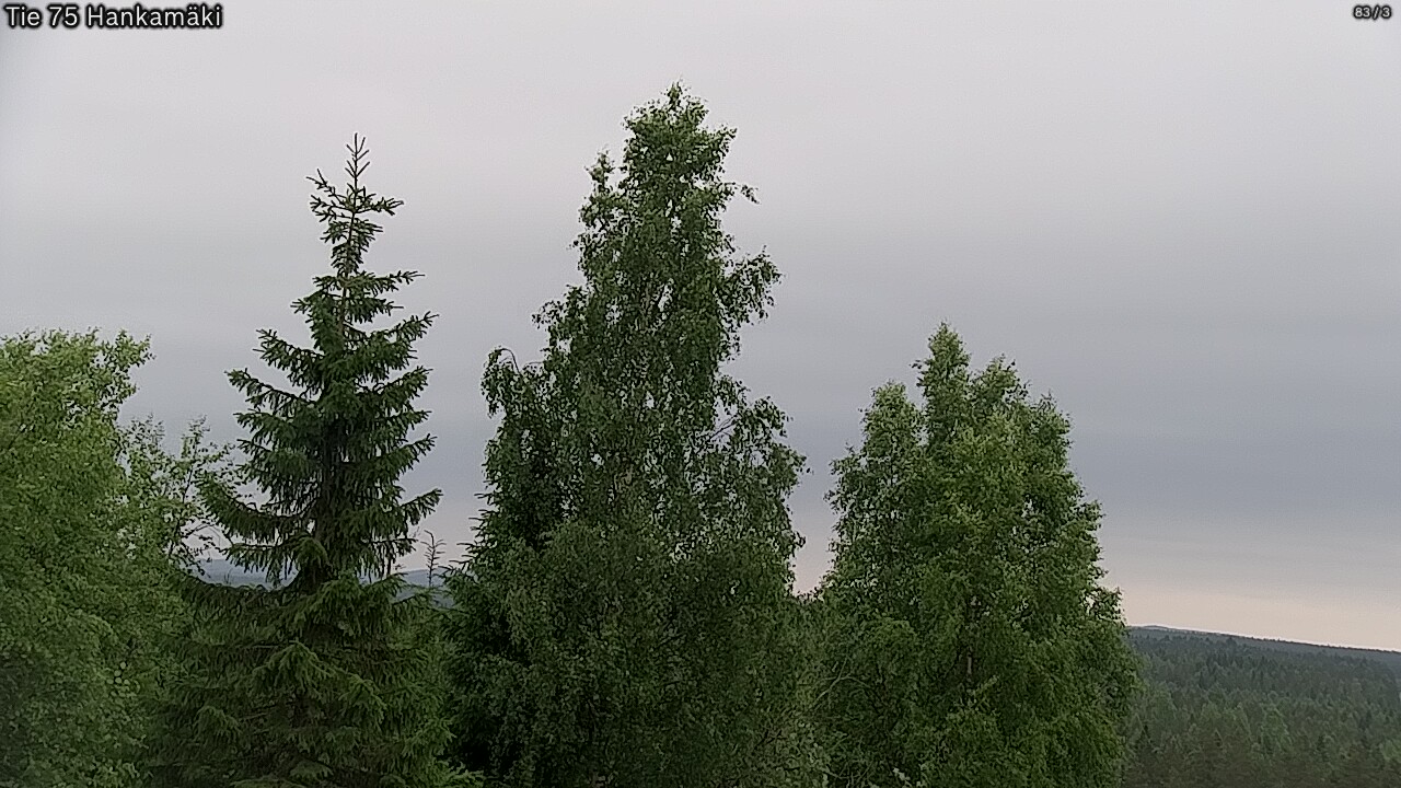Kelikamerat Kuva Tie 75 Rautavaara, Hankamäki, Rautavaara, Pohjois-Savo