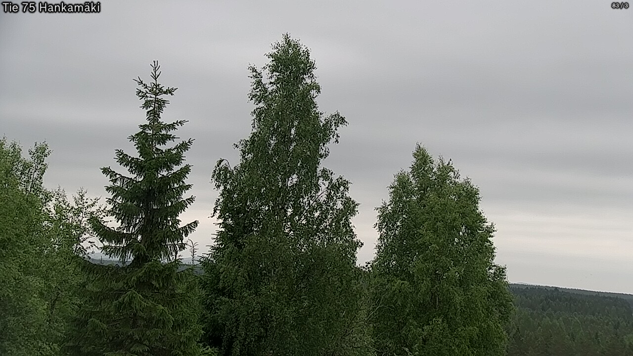 Kelikamerat Kuva Tie 75 Rautavaara, Hankamäki, Rautavaara, Pohjois-Savo