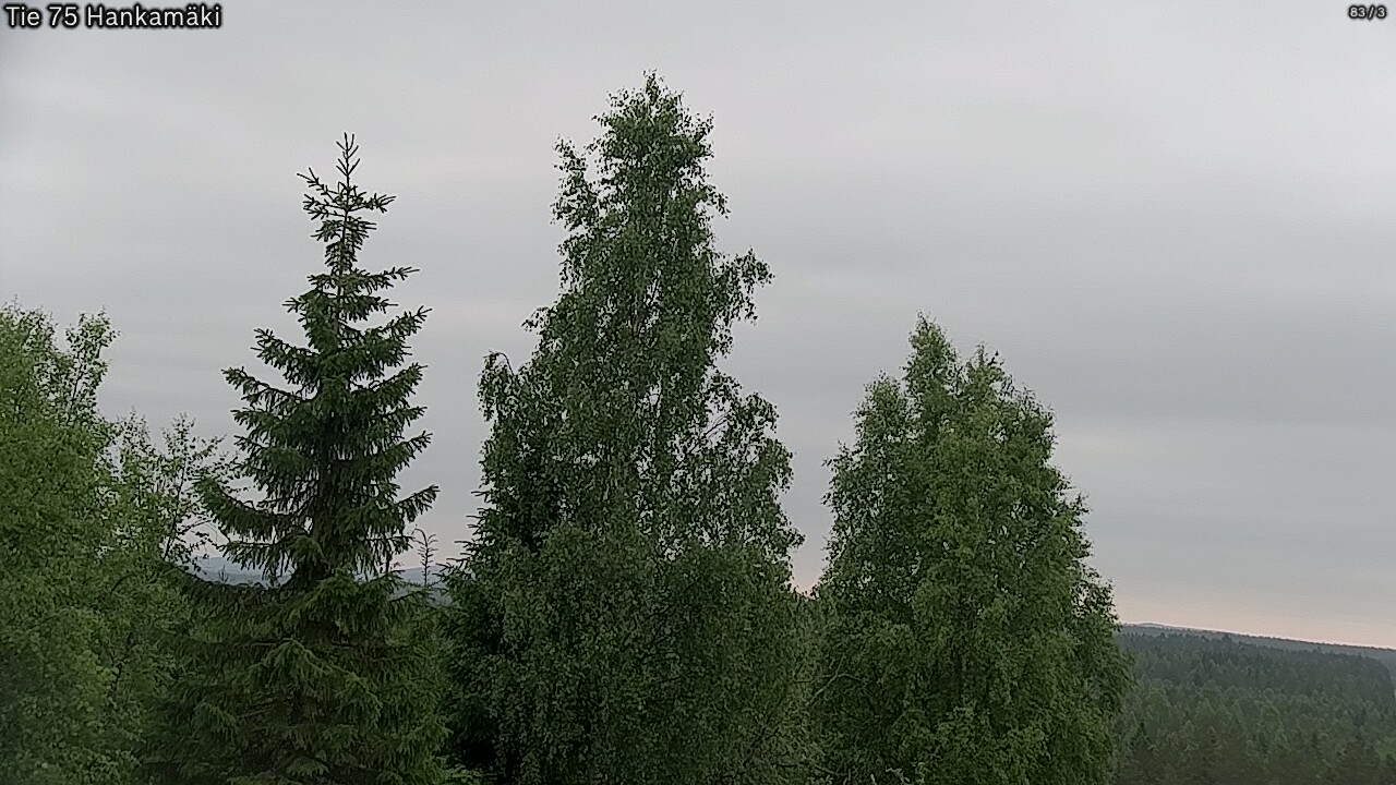 Kelikamerat Kuva Tie 75 Rautavaara, Hankamäki, Rautavaara, Pohjois-Savo