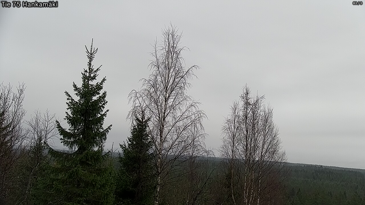 Kelikamerat Kuva Tie 75 Rautavaara, Hankamäki, Rautavaara, Pohjois-Savo