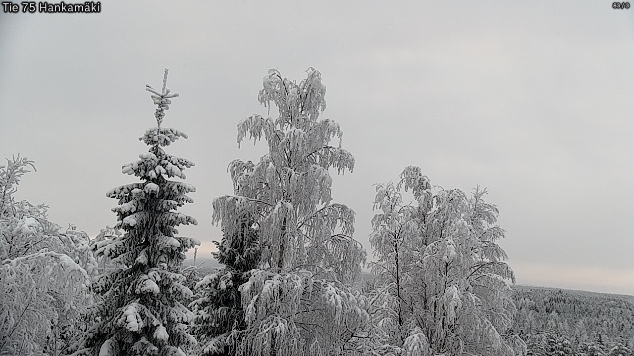 Kelikamerat Kuva Tie 75 Rautavaara, Hankamäki, Rautavaara, Pohjois-Savo