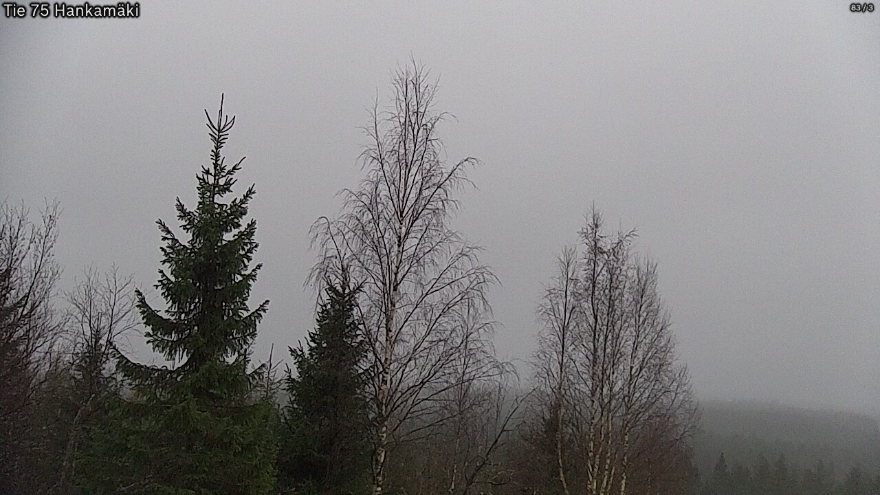 Kelikamerat Kuva Tie 75 Rautavaara, Hankamäki, Rautavaara, Pohjois-Savo