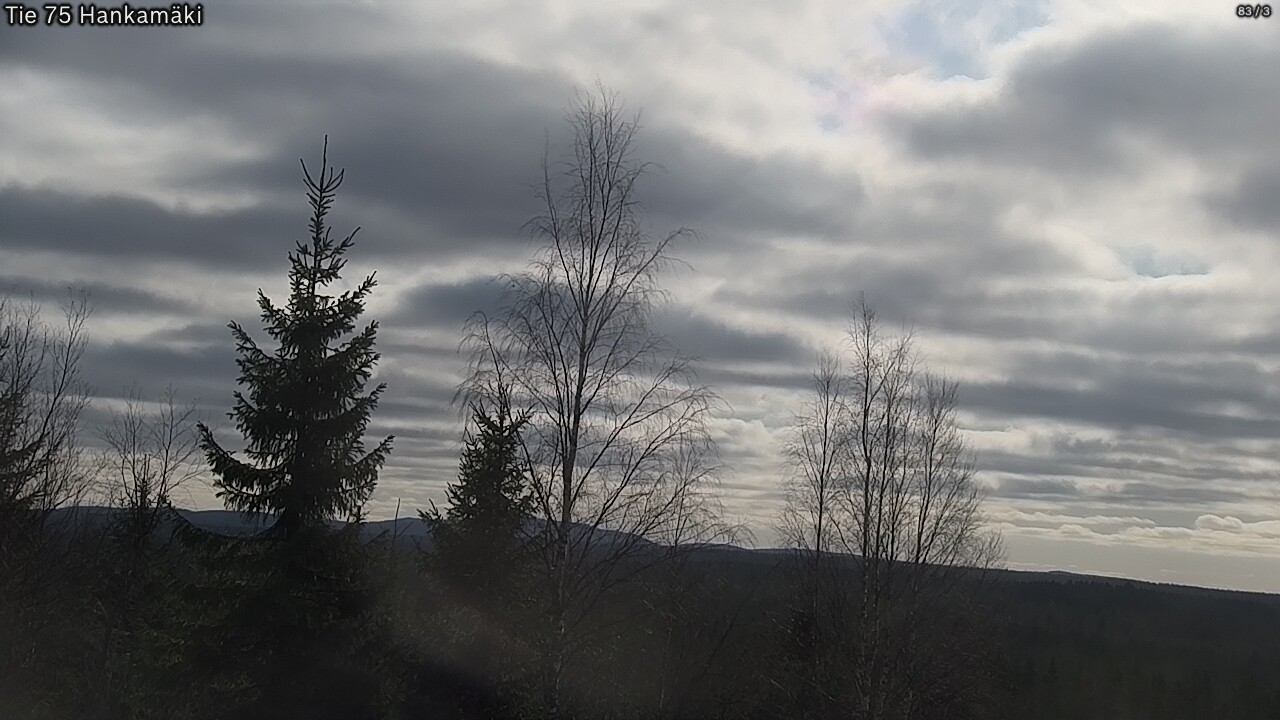 Kelikamerat Kuva Tie 75 Rautavaara, Hankamäki, Rautavaara, Pohjois-Savo