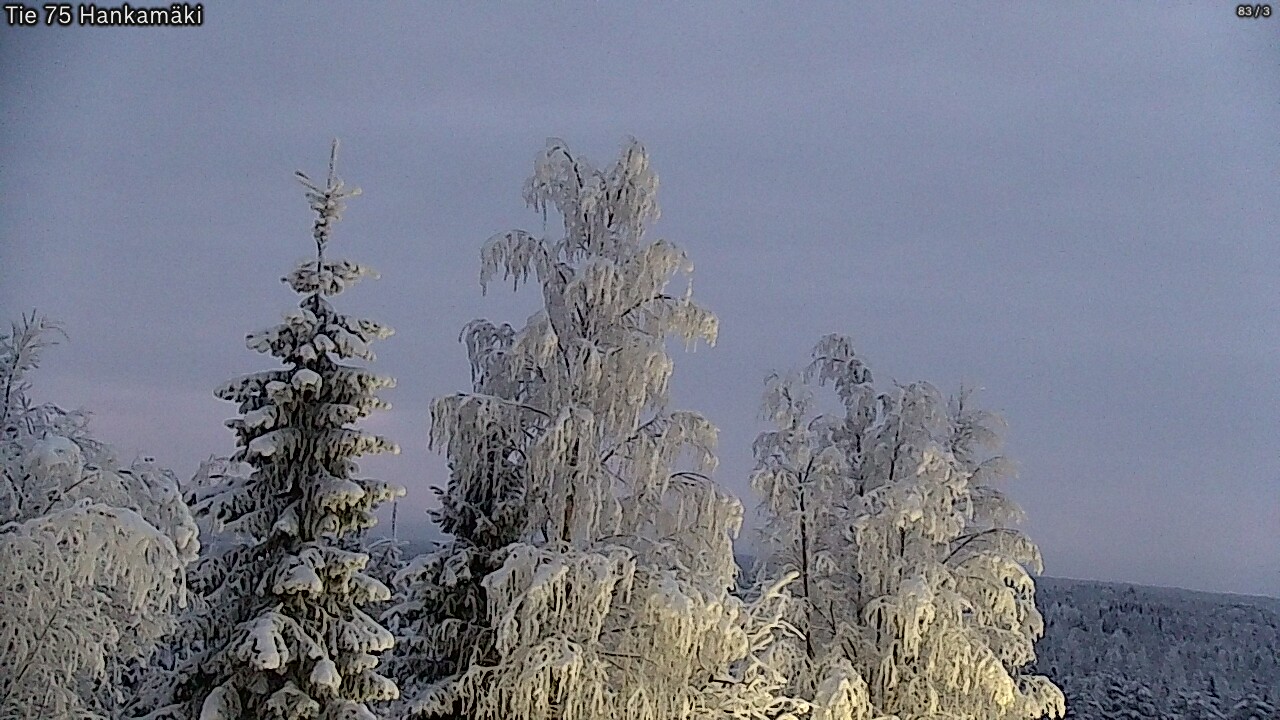 Kelikamerat Kuva Tie 75 Rautavaara, Hankamäki, Rautavaara, Pohjois-Savo