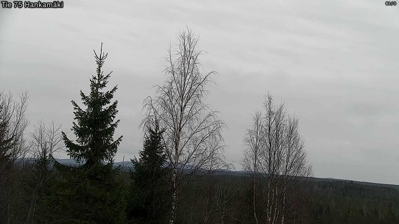 Weather Camera Image Väg 75 Rautavaara, Hankamäki, Rautavaara, Pohjois-Savo