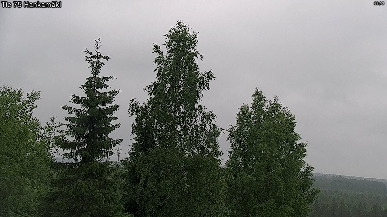 Weather Camera Image Road 75 Rautavaara, Hankamäki, Rautavaara, Pohjois-Savo