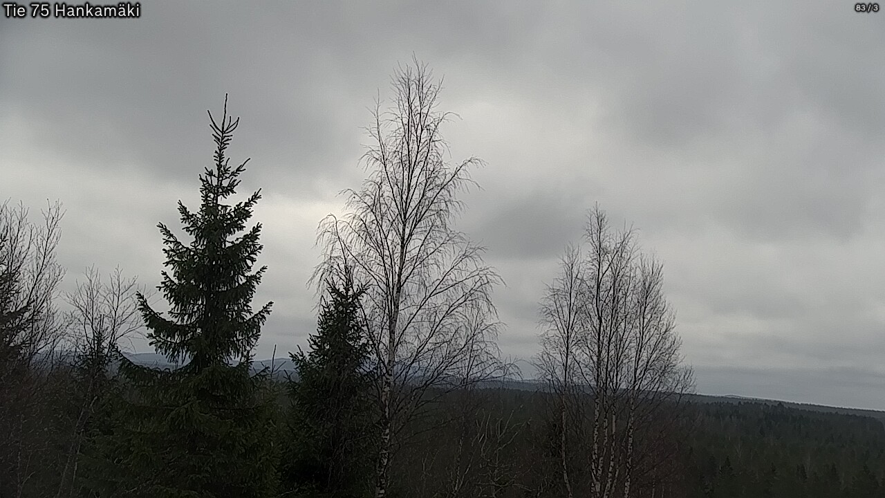 Weather Camera Image Road 75 Rautavaara, Hankamäki, Rautavaara, Pohjois-Savo