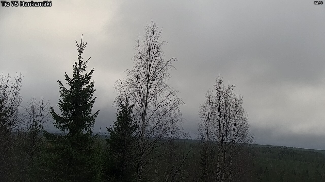 Kelikamerat Kuva Tie 75 Rautavaara, Hankamäki, Rautavaara, Pohjois-Savo