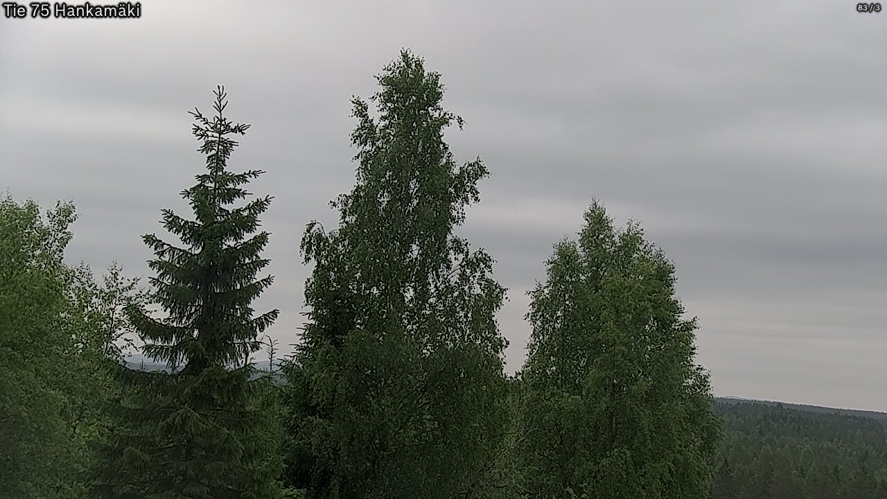 Kelikamerat Kuva Tie 75 Rautavaara, Hankamäki, Rautavaara, Pohjois-Savo