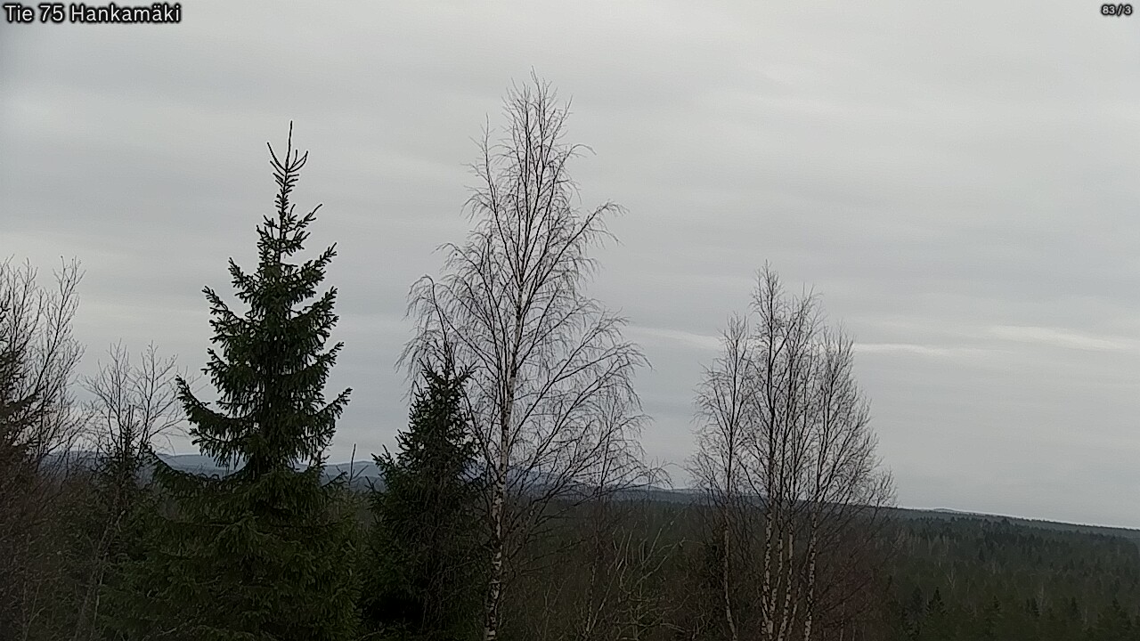 Weather Camera Image Väg 75 Rautavaara, Hankamäki, Rautavaara, Pohjois-Savo