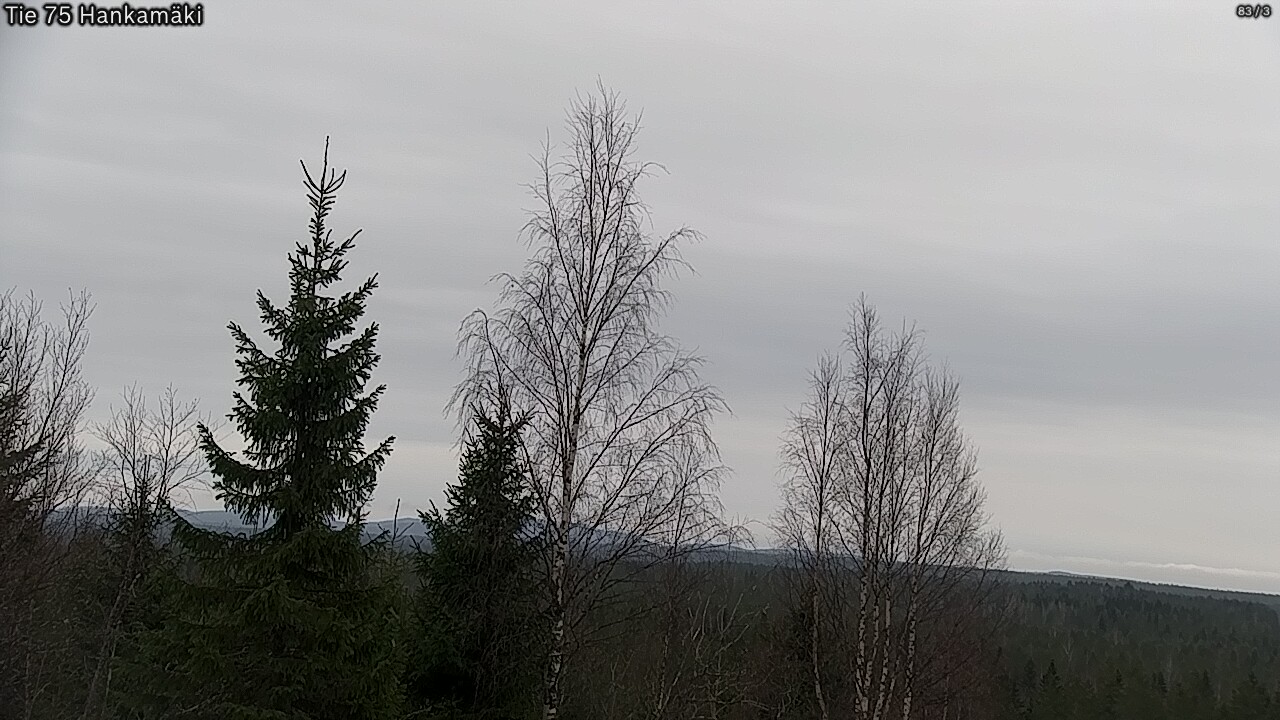 Kelikamerat Kuva Tie 75 Rautavaara, Hankamäki, Rautavaara, Pohjois-Savo